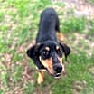 Thumbnail photo of Lenny #3