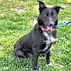 Thumbnail photo of Thelma #1