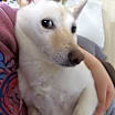 Thumbnail photo of KkotBun #3