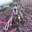 Thumbnail photo of Hilda #1
