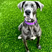 Thumbnail photo of Hilda #3