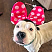 Thumbnail photo of Bianca #1