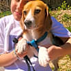 Thumbnail photo of AYLA #3