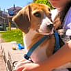 Thumbnail photo of AYLA #4