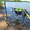 Thumbnail photo of Spud #3