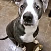 Thumbnail photo of Spud #4
