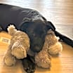 Thumbnail photo of Winky #3