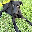Thumbnail photo of Winky #4