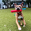Thumbnail photo of Gunther #1