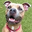 Thumbnail photo of Gunther #4