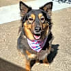 Thumbnail photo of Honey #1