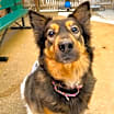 Thumbnail photo of Honey #2