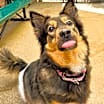 Thumbnail photo of Honey #3