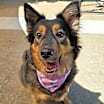 Thumbnail photo of Honey #4