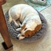 Thumbnail photo of TERE #4