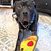 Thumbnail photo of Fry - Kitchener #2