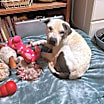 Thumbnail photo of Abner  #2