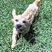 Thumbnail photo of Peter Piper #1