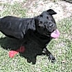 Thumbnail photo of Logan #2