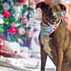 Thumbnail photo of Wanda JC #2