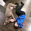 Thumbnail photo of Cindy Lou #3