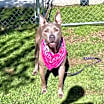 Thumbnail photo of Nevaeh #2