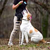 Thumbnail photo of Otto #1