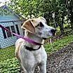 Thumbnail photo of Otto #2