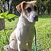 Thumbnail photo of Otto #4