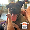 Thumbnail photo of Frannie #1