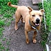 Thumbnail photo of Donut #1