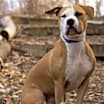 Thumbnail photo of Emma #2