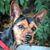 Thumbnail photo of Lila #1