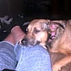 Thumbnail photo of Maddie #2