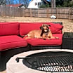 Thumbnail photo of Maddie #4
