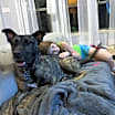 Thumbnail photo of Drake #3