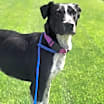 Thumbnail photo of Misty #1