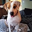 Thumbnail photo of abbie #1