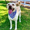 Thumbnail photo of Maddy #1