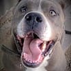 Thumbnail photo of GEORGE #1