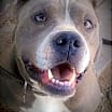 Thumbnail photo of GEORGE #2
