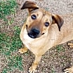 Thumbnail photo of Meggy #1
