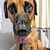 Thumbnail photo of Chip #2