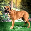 Thumbnail photo of Chip #3