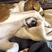 Thumbnail photo of Remylynn #1