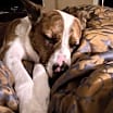 Thumbnail photo of Remylynn #2