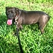 Thumbnail photo of Russel-Video Link #1
