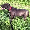 Thumbnail photo of Russel-Video Link #2