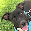 Thumbnail photo of Ava #1