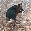 Thumbnail photo of Pauline #3